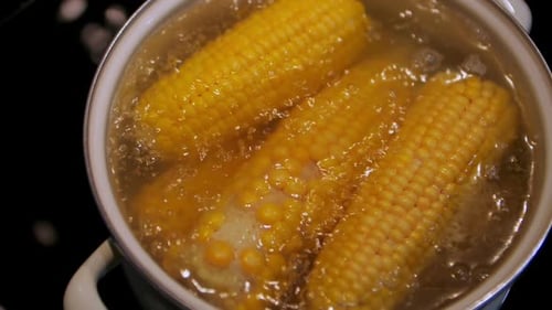 Boiling Corn on the Cob in a Pot