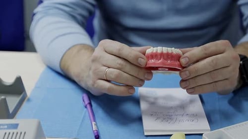 Man Demonstrates Dental Model in Office
