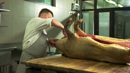 Butcher Cutting Meat in Slaughterhouse