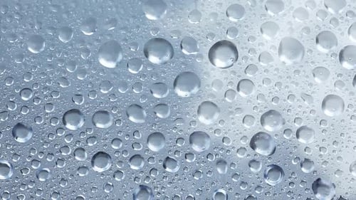Drops on Window Glass