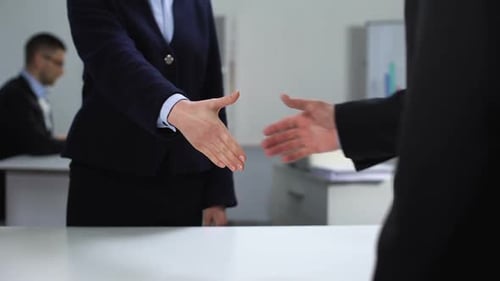 Business Handshake in Office Environment