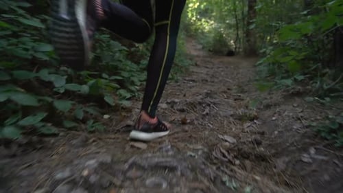 Low Angle View of Fitness Girl Jogging in the Forest Early in the Morning