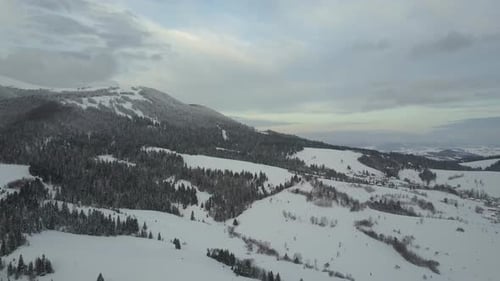 Vogelperspektive Luftaufnahme von Winterbergen, die mit Kiefernwald bedeckt sind. Flug über ein Dorf in