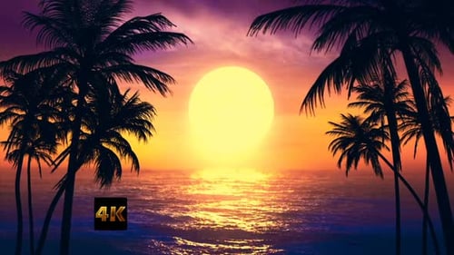 Vintage-Palme auf dem Meer bei Sonnenuntergang 4 K