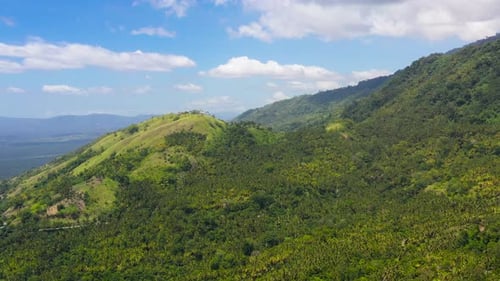 Verdant Mountain Range in Tropical Landscape