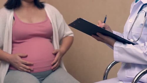 Pregnant Woman and Gynecologist Doctor at Hospital