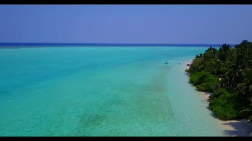 Aerial drone nature of perfect coast beach wildlife by blue water and white sand background of adven