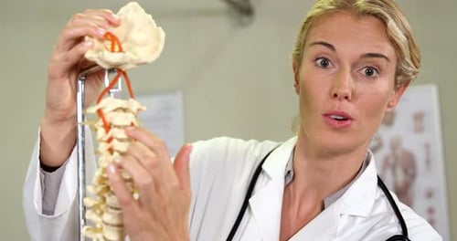 Physiotherapist looking at spine model
