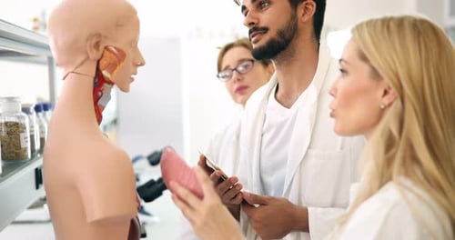 Medical Professionals Study Anatomy in White Lab