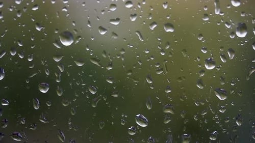 Window Glass In Drops Of Rain. Drops Run Down The Glass.