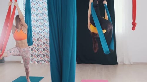 Women Doing Aerial Yoga With Fabric Hammocks