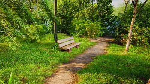 Bench in the Summer Park with Old Trees and Footpath