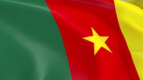 Realistic Waving Cameroon Flag Seamless Loop