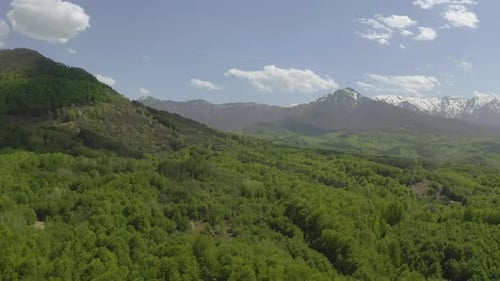 Mountain at spring