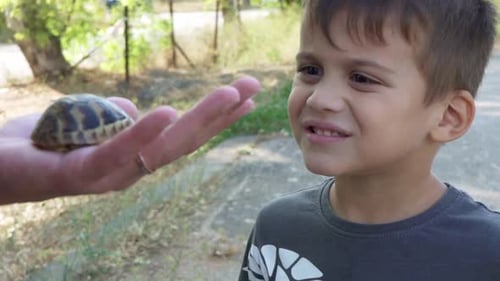 Cute caucasian boy, staring a baby leopard tortoise that rests in his mother hands, close up slow mo