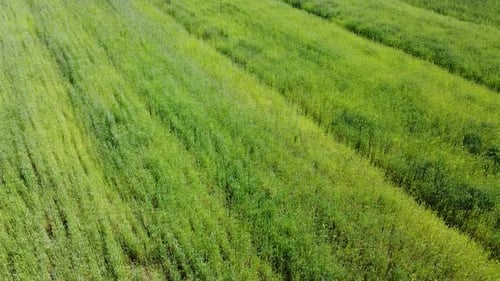 Aerial drone view of a flying over the rural agricultural landscape.