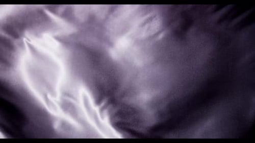 Abstract Purple Fabric and Stone Logo Reveal