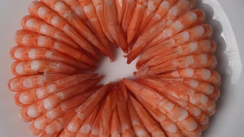 Cooked Peeled Shrimp Forming an Appetizing Ring