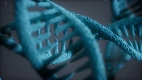 Double Helical Structure of Dna Strand Close-up Animation
