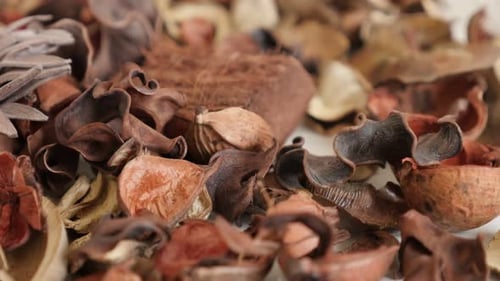 Shallow DOF potpourri fragrant flowers close-up slow tilt 4K 2160p 30fps UltraHD footage - Mixture o