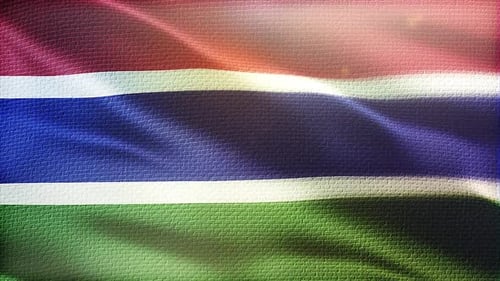 Textured Fabric National Flag Waving Loop Background