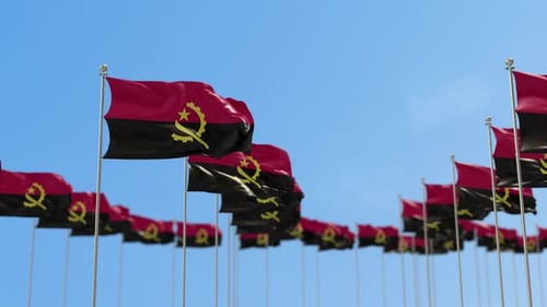 Angola Row Of Flags Animation