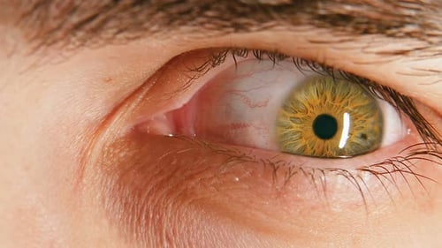 Detailed Close Up of a Human Eye