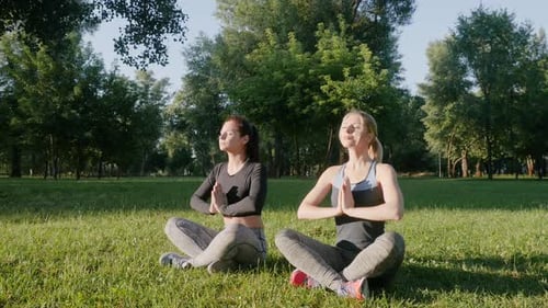Women Practicing Yoga Outdoors in the Sunshine