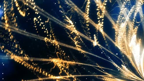 Particles Light Wave 01