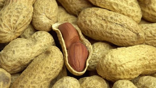 Close Up of Pile of Peanuts in Shells