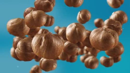 Hazelnuts Floating Up Close on a Blue Background