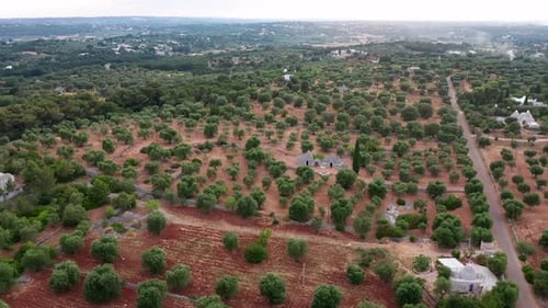 Aerial View of Rural Landscape with Trees and Houses