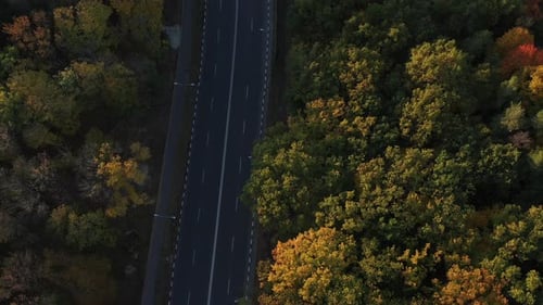 Flying Over a Country Road Passing Between a Beautiful Autumn Forest