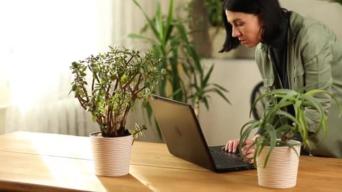 Woman Working at Laptop Surrounded by Plants Indoors