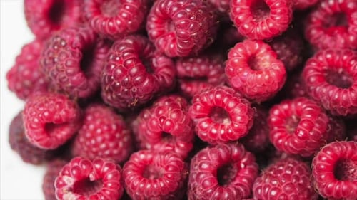 Close Up Rotation Loopable Berry. Fresh, Juicy Raspberry Background, Ripe