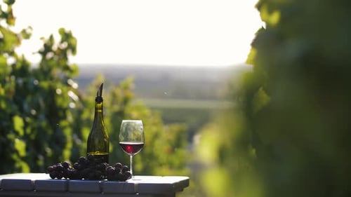 Merlot auf dem Tisch