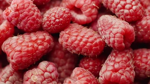 Pile of fresh, delicious red raspberries