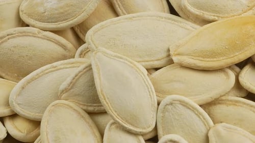 Pumpkin seeds close up