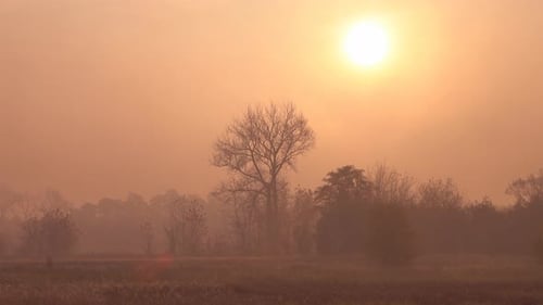 Rural Landscape at Sunrise, Golden Hour Light