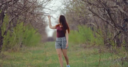 Pretty Girl Iid Among the Trees in Early Spring
