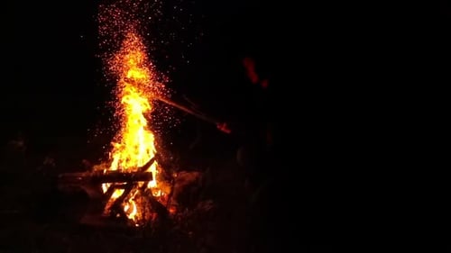 Glowing Campfire Burns Brightly at Night