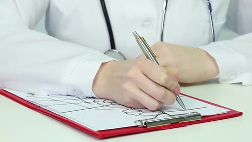 Medical Student Writing Test During Anatomy Class, Studying Human Physiology
