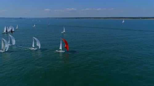 Iates estendendo Spinnakers em uma corrida de vela