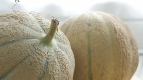 Conception de melons frais, fond de nourriture inclinable 4K 2160p, 30 images par seconde, vidéo UltraHD - Inclinaison lente sur Cucurb
