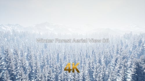 Luftaufnahme des Winterwaldes 4K 06