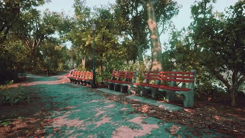 Pathways and Benches are Empty in Park During Covid19 Pandemic