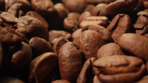 Close-up of Roasted Coffee Beans
