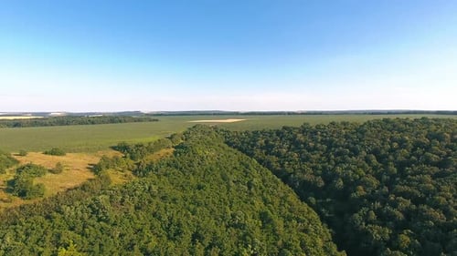 Rural landscape with bird eye view. Aerial view of the green agricultiral fields in countryside