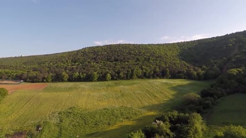Farmland Aerial Forest