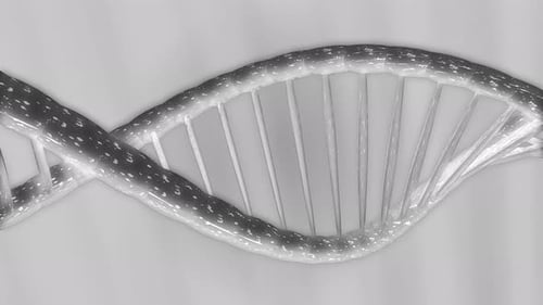Grey Dna Seamless Loop